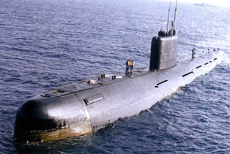 1. сом (1).jpg